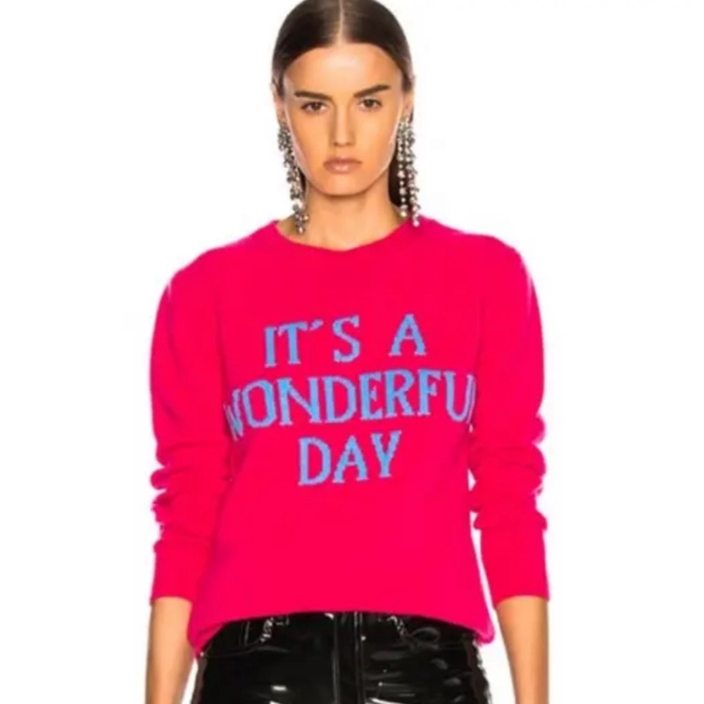 Alberta Ferretti It's A Wonderful Day statement Crewneck wool cashmere Sweater